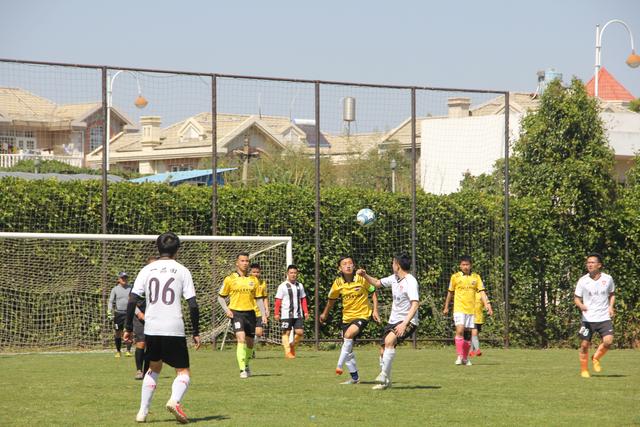 阿森纳"绝对防御"堪称无解 有望主场3连杀曼城